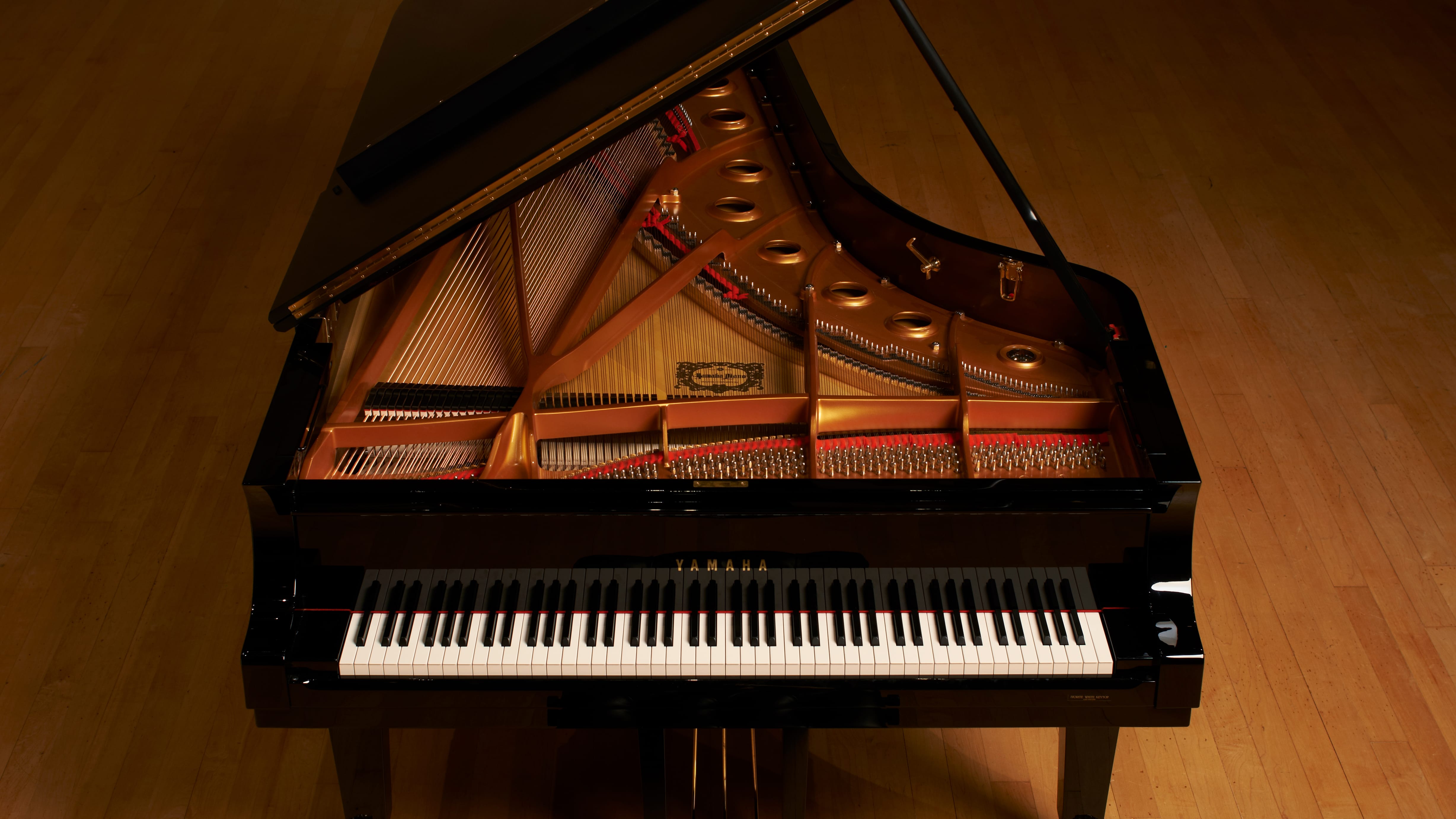 piano instrument